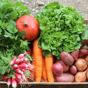 PANIER - minimum 5 légumes différents -